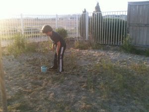 Thomas Pulling Weeds 5.10.12