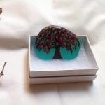tree-blossom-painted-rock-may-2016