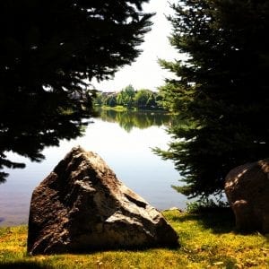 reflection-of-trees-at-lake-2016-2