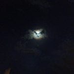 halo-moon-12-8-16-2