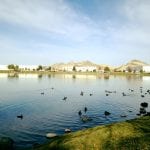 walk-and-ducks-vintage-lake-11-24-16-3