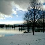 walk-with-thomas-vintage-in-snow-12-9-16-2