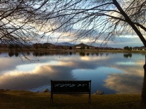 bench-at-vintage-lake-february-2016