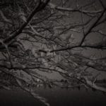 Night Winter Wonderland 1.23.17 #4