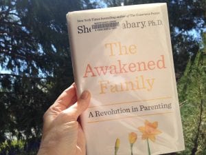 Awakened Family Book 2017