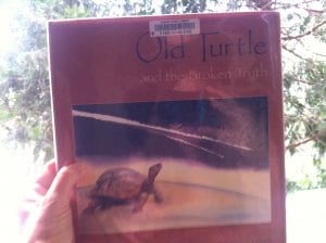 Old Turtle Book 2016