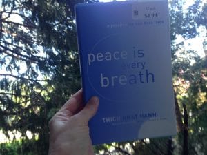 peace is every breath book 2017