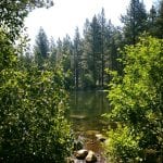 Solo Walk Galena Creek Marilyn's Pond 7.5.17 #4