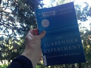 The Surrender Experiment Book 2017