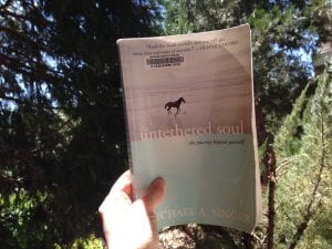 The Untethered Soul Book 2017