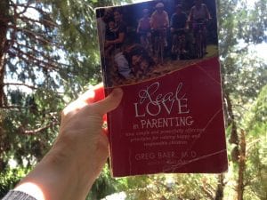 Real Love in Parenting Book 2017