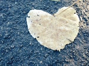 You are Loved Leaf Heart August 2017