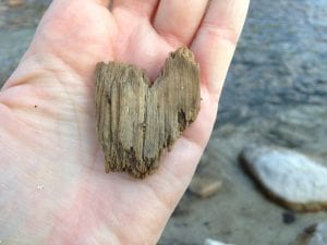 Driftwood Heart Hidden Beach August 2016 #1