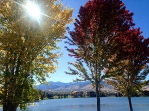 Solo Walk Vintage Lake Fall Trees 10.8.17