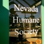 Volunteer Nevada Humane Society 10.27.17 #1