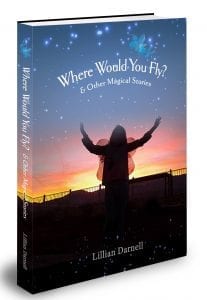 Where Would You Fly Updated Cover 9.2017