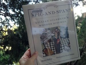 Spic and Span Book 2017