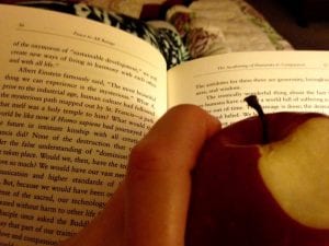 Book and Apple 1.7.18