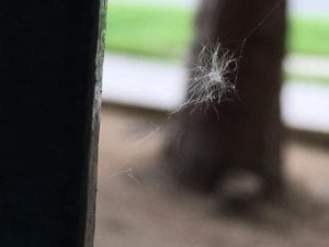 Fuzz Ball Stuck in Web 5.10.18