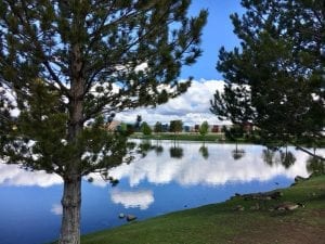 Solo Walk Vintage Lake Reflections 5.17.18