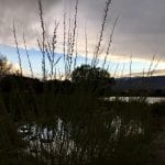 Sunset Walk with Thomas Vintage lake 4.27.18 #6