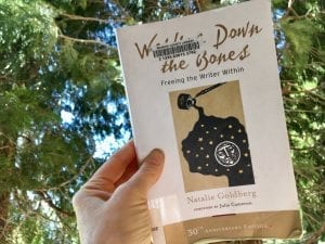 Writing Down the Bones Book April 2018