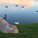 Sunset Walk Vintage Lake with Lillian 6.14.18 #9